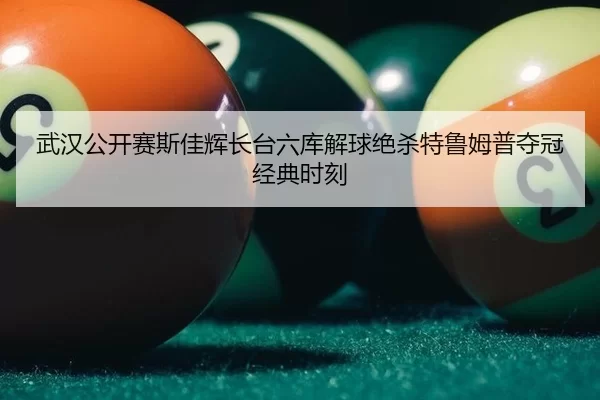 武汉公开赛斯佳辉长台六库解球绝杀特鲁姆普夺冠经典时刻